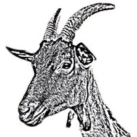 Logo La Ferme De Roch Conan