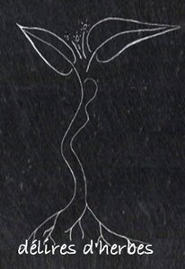 Logo Délires D'herbes
