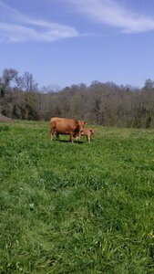 Logo Ferme Jean De Hourticq