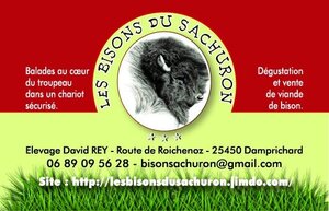 Logo Les Bisons Du Sachuron