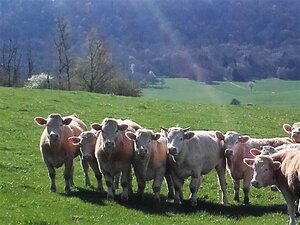 Logo Ferme  Des 'granges Rouges'