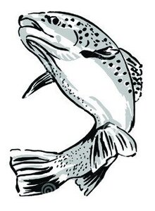Logo Eau Doubs Poissons