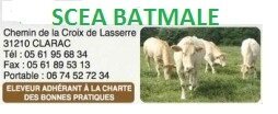 Logo Scea Batmale