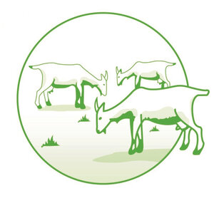 Logo Earl Les Pampilles