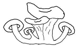 Logo Champimignon Earl Depretto