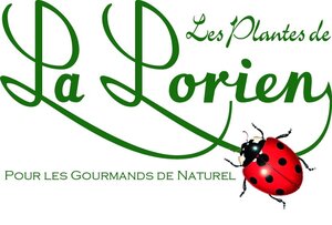Logo Les Plantes De La Lorien
