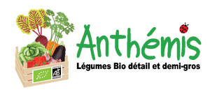 Logo Jardin D'anthemis