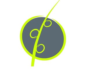 Logo Lentilles-céréales - Miss'tille & Cie