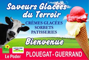 Logo Saveurs Glacees Du Terroir