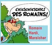 Logo Romain Hardi