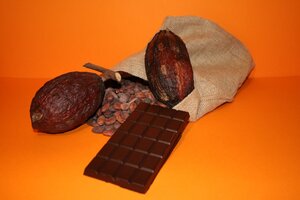 Logo Chocolats Demeuse