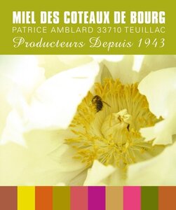 Logo Miel Des Coteaux De Bourg