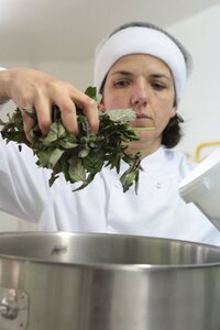 Logo Entre Saveur Et Jardin