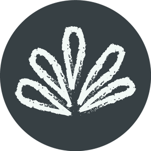 Logo Raconte Moi Un Savon