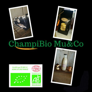 Logo Champibio Mu&co