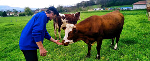 Logo La Ferme Des Jalinières