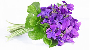 Logo Le Fournil De Violette 