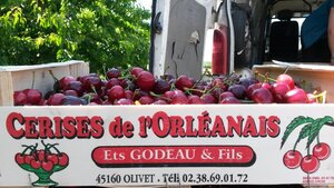 Logo EARL les vergers de Lanviers