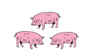 Logo Sarl Des Trois Petits Cochons
