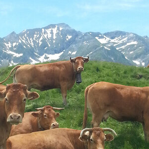 Logo La Ferme Du Lac D'estaing