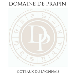 Logo Domaine De Prapin