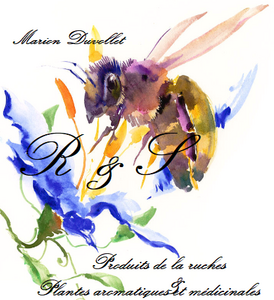 Logo Ruches & Simples