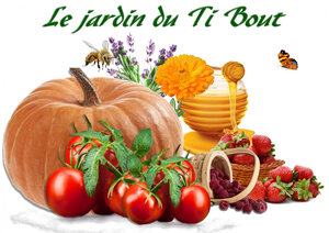 Logo Le Jardin Du Ti Bout