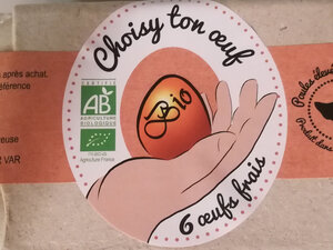 Logo Choisy Ton Oeuf