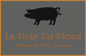 Logo Le Noir Du  Picou