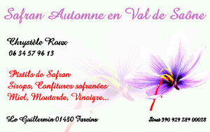 Logo Safran Automne En Val De Saône