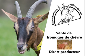Logo Aux Petits Délices De Chèvres