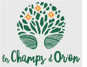 Logo Les Champs D'orion