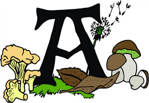 Logo Les Récoltes D' Amaia