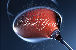 Logo Domaine Saint Guéry