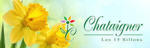 Logo Châtaigner - Les 15 Sillons