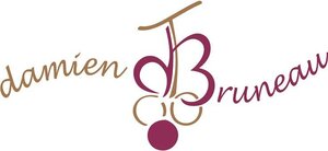 Logo Domaine Damien Bruneau
