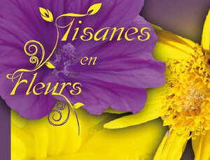 Logo Tisanes En Fleurs