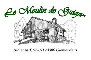 Logo Didier Michaud