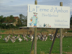 Logo La Ferme D'ambon