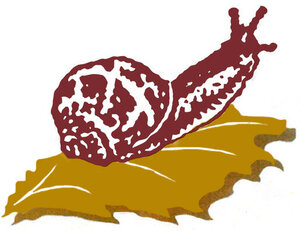 Logo Escargots 'le Jacquin'