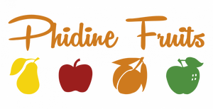 Logo Phidine Fruits