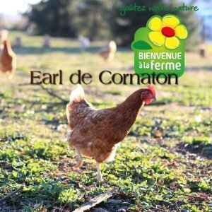 Logo EARL DE CORNATON