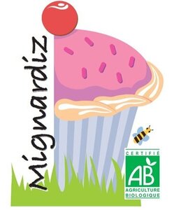 Logo Mignardiz