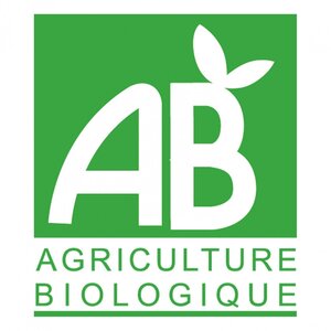 Logo Lucas Bonneau