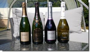 Logo Champagne Baroni