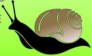 Logo Mille Et Une Coquilles