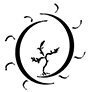 Logo Lumière du Soleil