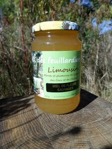 Logo Miels Limousins D'abeilles Noires