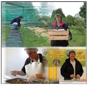 Logo Les Escargots Du Limousin