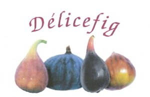 Logo Delicefig Scea